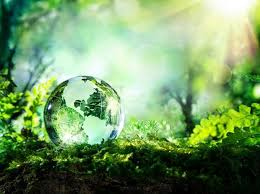 This is the generation that can make peace with nature. World Environment Day 2021 Theme Ecosystem Restoration Pics And More Business Standard News