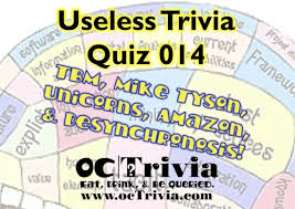 As much as our body needs exercise, our brain also requires some working out from time to time. Trivia Quiz Full Of Useless Knowledge 014 Octrivia Com