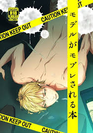 モデルがモブレされる本 | 801books(ヤオイブックス)