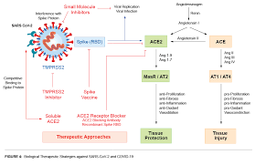 Update corona indonesia, sabtu (5/6): Sars Cov 2 Covid 19 Research Latest Insights Products