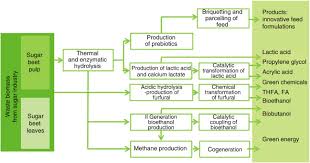 The two forms of beet pulp on the market are shredded (available with or without molasses) and pelleted (typically containing a small amount of molasses. Sugar Beet Pulp As A Source Of Valuable Biotechnological Products Sciencedirect