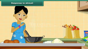 Response To Stimuli Youtube
