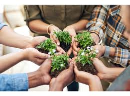 Sunday Drives with The Grant Plant*