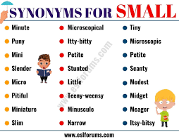Small Synonym Synonym School Documents Writing Tips