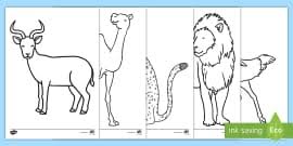 Of check out the following individual free printable country coloring pages below. Colouring Pages Of Tropical Rainforest Animals For Kids