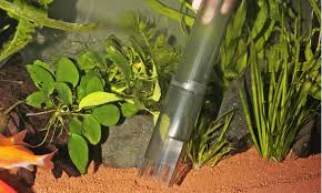 Large round backyard fountain idea 14. Ventilation And Moisture Regulation