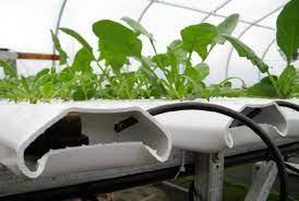 Nutrient Film Technique Nft Growing Channels By American Hydroponics Hydroponics Hydroponic Gardening Hydroponics System