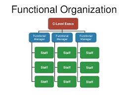 Project Management Organizational Structures