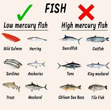 Pin By Mtahirumer On H126 Kithcen Low Mercury Fish High Mercury Fish Fish Oils Supplements