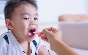 Stephanie Anderson Witmer