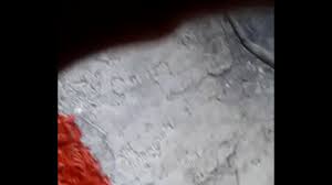 bajo la falda de la cole - XNXX.COM