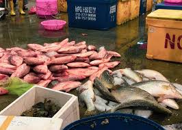 Vladivostok sea fishing port ojsc provides services for the following services: Senoko Fishery Port Singapore S Own Tsukiji Fish Market In Sembawang