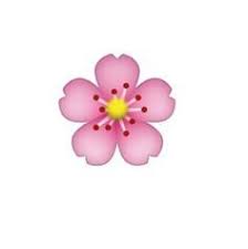Transparent Overlays Emoji Google Search Emoji Bunga