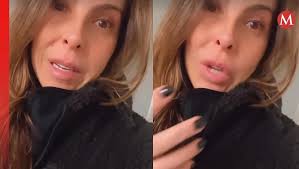 Esto es terrible": Al borde del llanto, Kate del Castillo revela cómo fue  evacuar su casa en Los Ángeles por los incendios