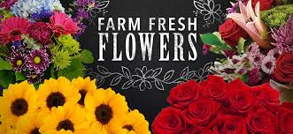 Costco.com products can be returned to any of our more than 800 costco warehouses worldwide. Floral Costco