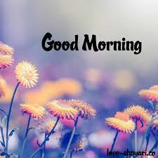 Nice good morning images photo pics download with flower. 120 Good Morning Images With Nature