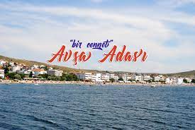 Avşa adası tam olarak nerede bulunmaktadır? Avsa Adasi Nerede Nereye Bagli Avsa Adasi Avsaisland Com