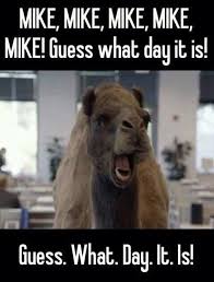 A camel distracts people working in the office, because it's a hump day. Hey There Mike Funny Commercials Funny Bones Funny