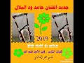 وتحميل من النت والقائمة تشتمل على 10 مخطوطات روحانية نادرة وهي الكتب و المخطوطات الصحيحة. Mp3 ØªØ­Ù…ÙŠÙ„ Ø¬Ø¯ÙŠØ¯ Ø§Ù„ÙÙ†Ø§Ù† Ø­Ø§Ù…Ø¯ ÙˆØ¯ Ø§Ù„Ø¨Ù„Ø§Ù„ Ø§Ù„Ø¨Ø±ÙŠØ¯Ùˆ Ø§Ù†Ø§ Ø£ØºÙ†ÙŠØ© ØªØ­Ù…ÙŠÙ„ Ù…ÙˆØ³ÙŠÙ‚Ù‰