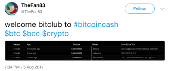 Why are prices going up, and will bitcoin crash? Blockchain Data Reveals Someone Is Trying To Slow Down Bitcoin Cash Blockchain Bitcoin News