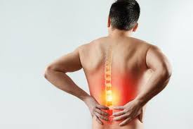 Related posts of anatomy muscle rap muscle anatomy diagram printable. Spinal Pain Physiotherapy Sports Focus Physiotherapy Sydney