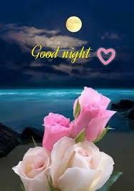 Good Night Image Good Night Love Images Good Night Beautiful Good Night Flowers