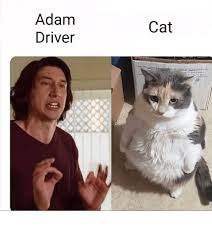 See more ideas about adam meme, adam driver, walking meme. Adam Driver Cat Adam Driver Meme On Me Me