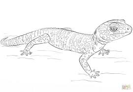 27 Brilliant Image Of Gecko Coloring Page Albanysinsanity Com Leopard Gecko Gecko Coloring Pages