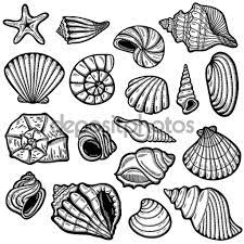 image result for sea shell line drawing drawings tattoos symboles de la page coloriage kandinsky