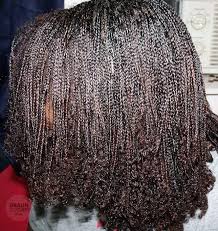 Mini Braids On Natural Hair Natural Hair Minibraids Natural Hair Braids Natural Hair Styles Natural Hair Twists