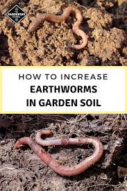 Follow These Gardening Tips To Create Soil Earthworms Will Love Learn The Benefits Earthworms Bring To The Garden Earthworms Garden Soil Organic Horticulture