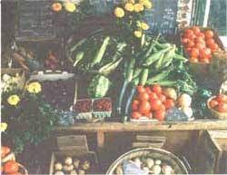 04.08.2017 · farm stand ideas 11. How To Start And Run A Produce Stand Modern Homesteading Mother Earth News