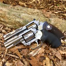 Image result for Grace Silver 1988 Colt