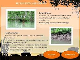 We did not find results for: Geografi Tingkatan 1 Tumbuhan Semula Jadi Dan Hidupan