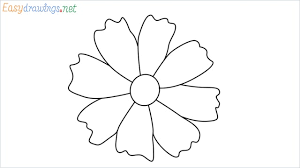 How To Draw A Marigold Step By Step 9 Easy Phase Here are some fun facts about these gorgeous flowers. how to draw a marigold step by step
