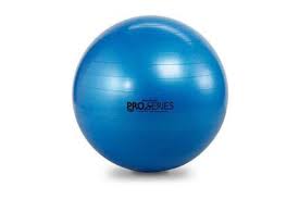Theraband Pro Series Scp Exercise Ball