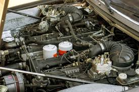 Image result for Marrone 1983 Fleet