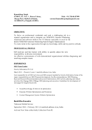 Kamaldeep Singh Seo Seo Smo Resume Sample