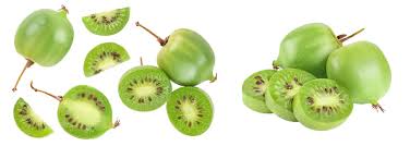 Image result for foto minikiwi