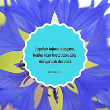 Bukan cinta biasa | cintaku bukan diatas kertas artist: Insan Biasa Di Instagram Bosan Itu Seperti Ketika Kita Dalam Masa Menunggu Namun Yang Ditunggu Tak Kunjung Datang Maka Solusinya Instagram Peringatan Tujuan