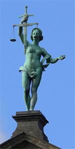 Image result for Justicia nuttii