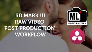 HenrysSpotlight: Trish Young