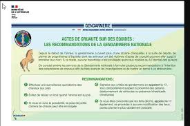 Parties communes accommodant les personnes handicappées. Chevaux Mutiles Et Tues Faisons Le Point Quelques Informations D Ordre Juridique Nina Lebarque