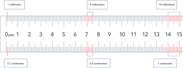 Check spelling or type a new query. Rulers For School Free Printable Paper