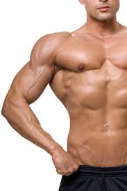 For successful bodybuilding, it is important to know the anatomy of the muscles and how to they work. Best Chest Exercises For Men Pecs Anatomy And Chest Workout Videos