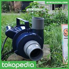 Supaya kolam ikan koi anda lebih menarik, tentu pompa air kolam ikan yang bagus menjadi pertimbangan penting. Pompa Kolam Koi Hemat Energi Mudah