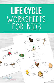 Life Cycle Worksheets For Kids