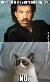 Lionel Richie Hello And Grumpy Cat Grumpy Cat Quotes Grumpy Cat Book Grumpy Cat
