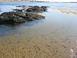 Find 15 available offers from 2 partners. Camping At Salisbury Beach