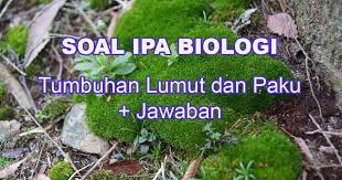 Bryopyta adalah tumbuhan lumut daun yang memiliki klorofil yang bersifat autotrof. Soal Pilihan Ganda Tumbuhan Lumut Dan Paku Jawaban Muttaqin Id